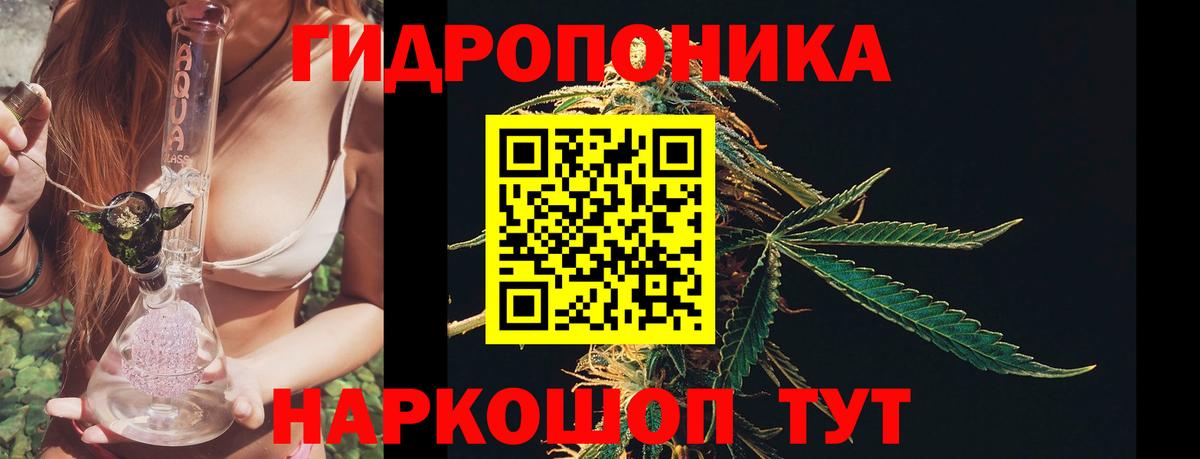 Гусев  Бошки марихуана White Widow  Шишки марихуана планчик  Канабис марихуана  МАРИХУАНА план  Вход с VPN 